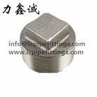 Stainless Steel Square Plug(SQ) Plug head SS304/SS316 ASME 1/2" 150#/150LB BSP/NPT