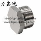 Stainless Steel Hex Plug(HP) hexagon plug,plug fittings DIN EN 10213 1.4308/1.4408 DN15/DN25/DN40/DN50